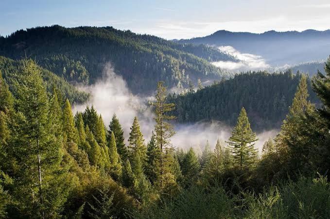 The Nature Dreams I Vacations I Conference I Mice I Family Events I Open Air Terrace I Sky Bonfire I Kufri By Exotic Stays Shimla Extérieur photo