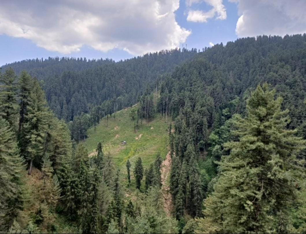 The Nature Dreams I Vacations I Conference I Mice I Family Events I Open Air Terrace I Sky Bonfire I Kufri By Exotic Stays Shimla Extérieur photo