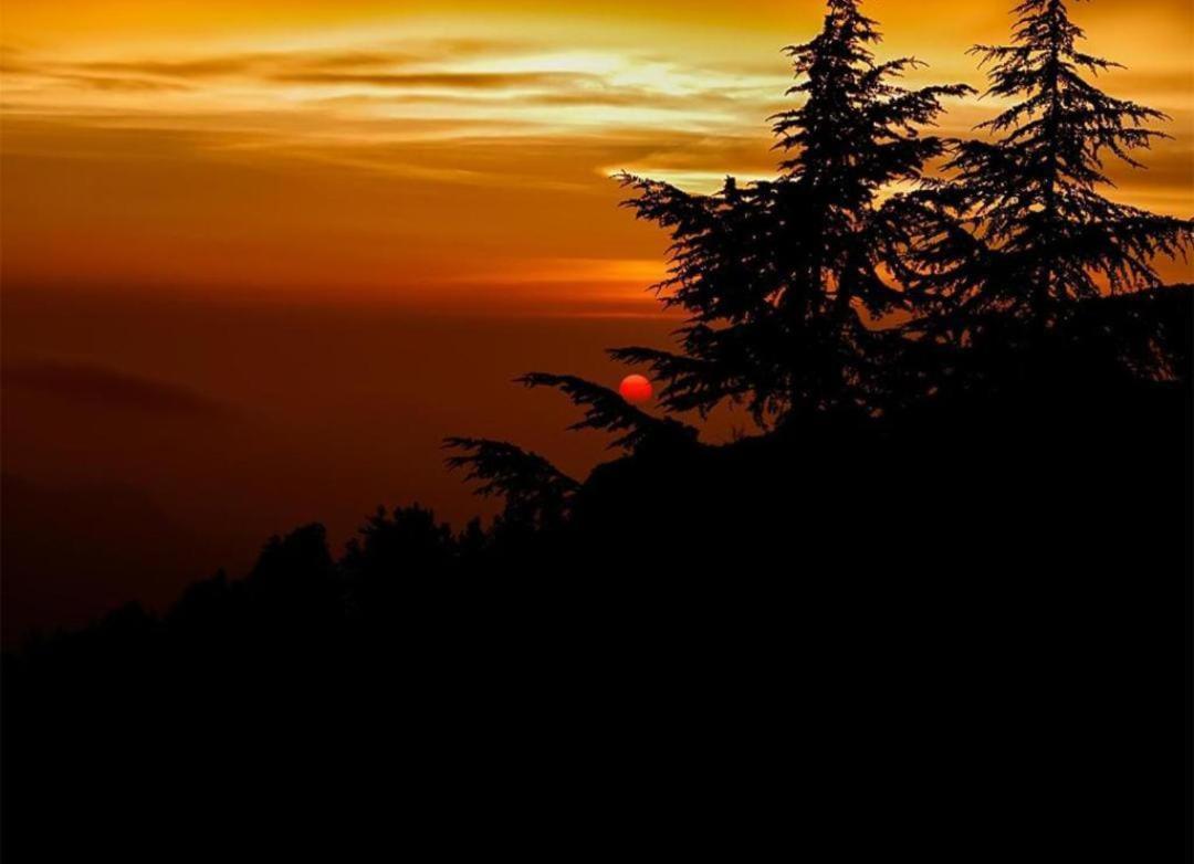 The Nature Dreams I Vacations I Conference I Mice I Family Events I Open Air Terrace I Sky Bonfire I Kufri By Exotic Stays Shimla Extérieur photo