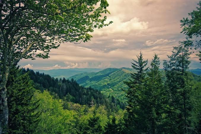 The Nature Dreams I Vacations I Conference I Mice I Family Events I Open Air Terrace I Sky Bonfire I Kufri By Exotic Stays Shimla Extérieur photo