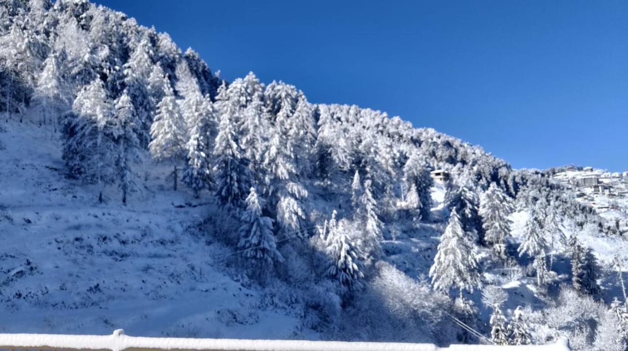 The Nature Dreams I Vacations I Conference I Mice I Family Events I Open Air Terrace I Sky Bonfire I Kufri By Exotic Stays Shimla Extérieur photo
